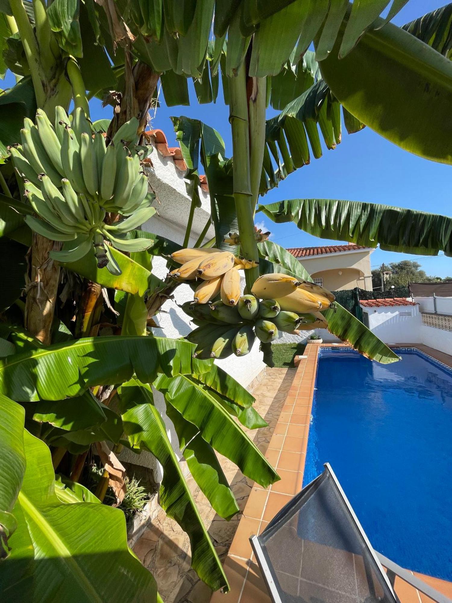 Villa Juani Vinaros Exterior photo
